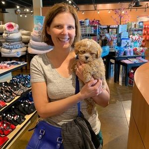 Meet your Posher, Amy